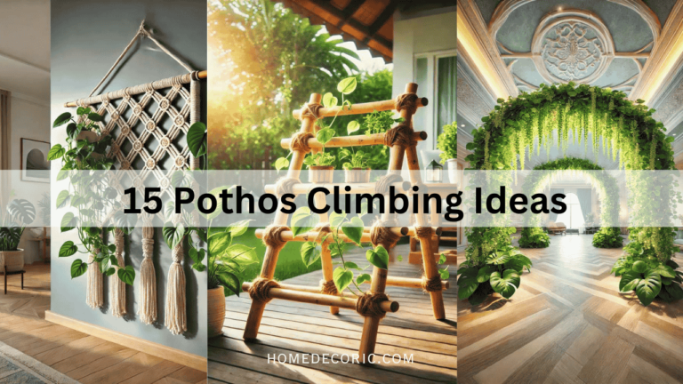 Pothos Climbing Ideas