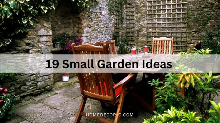 Contemporary Small Garden Ideas