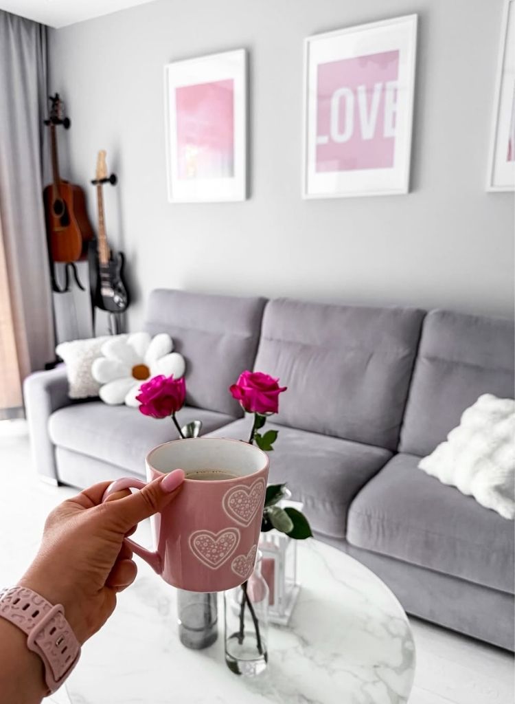 Modern Gray Sofa with Pink Accents