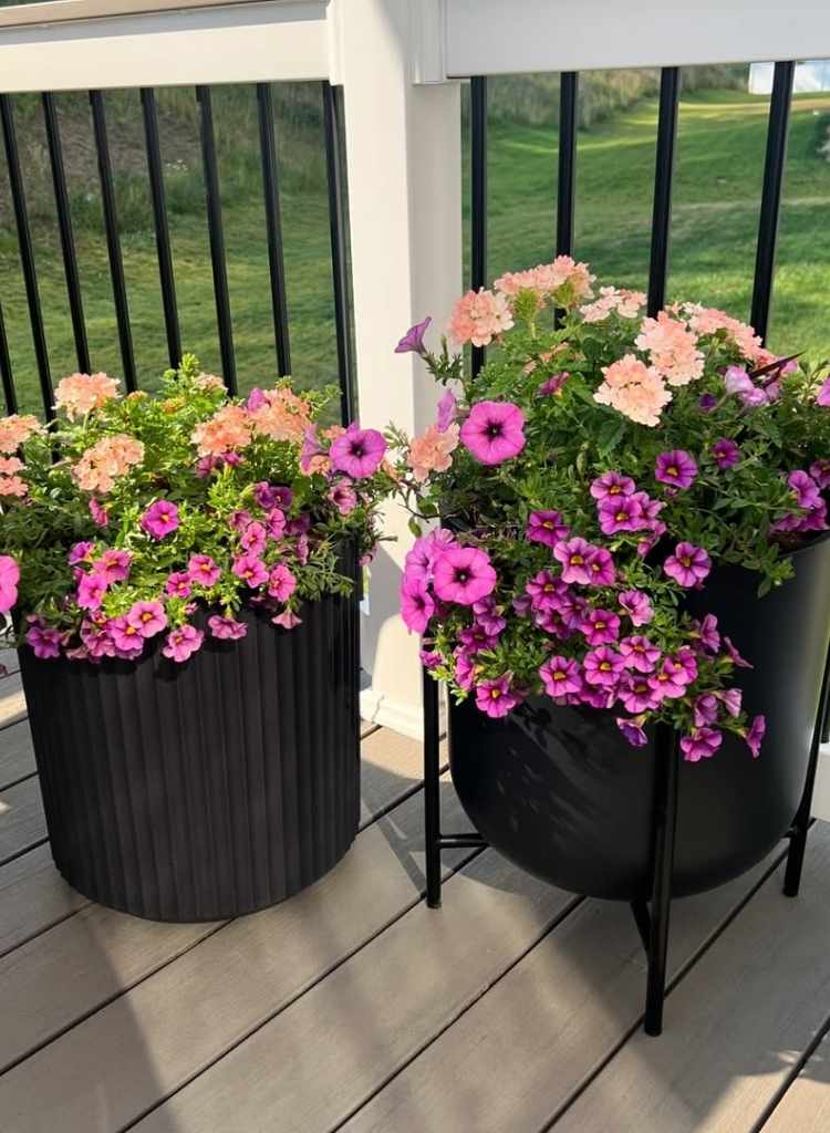 Colorful Flower Planters 