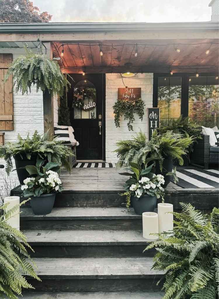 Lush Green Porch With Fern Decor