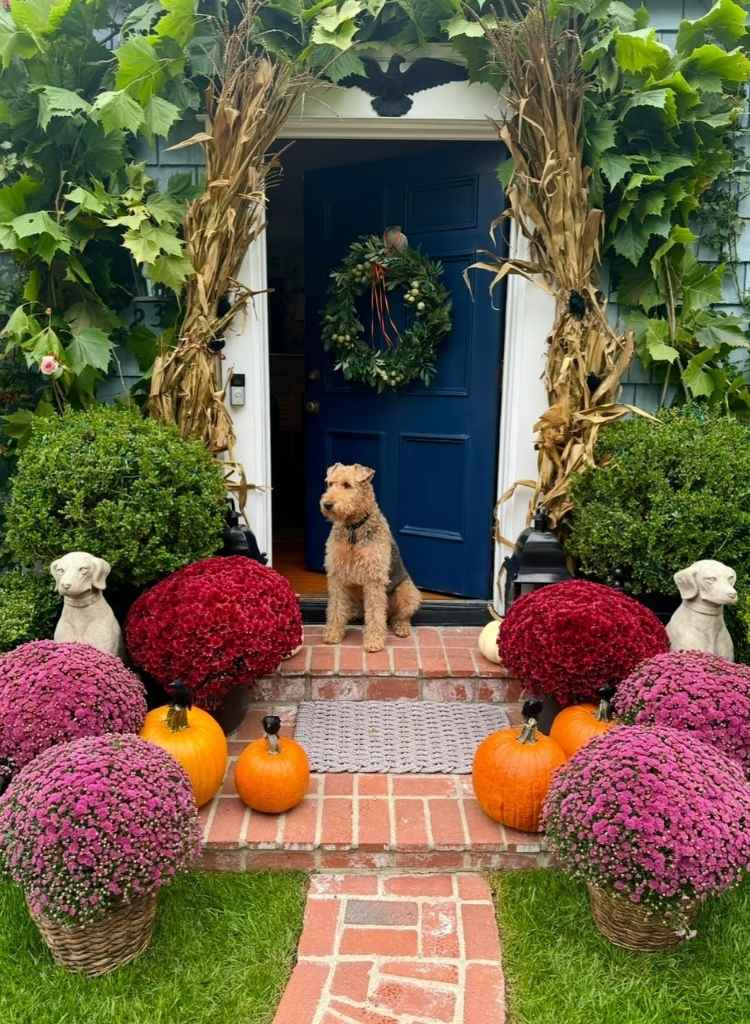 Pumpkins And Colorful Flowers Garden Entry