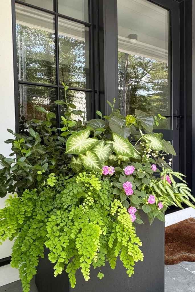 Lush Green Patio Planter Box
