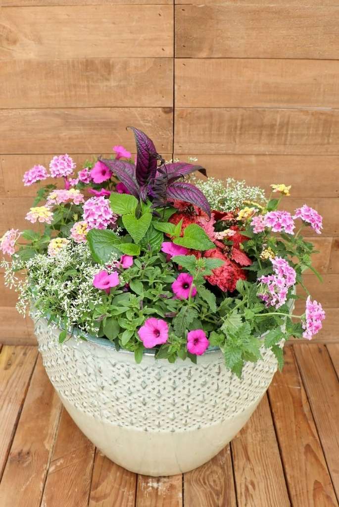 Mixed Bloom Ceramic Patio Planter