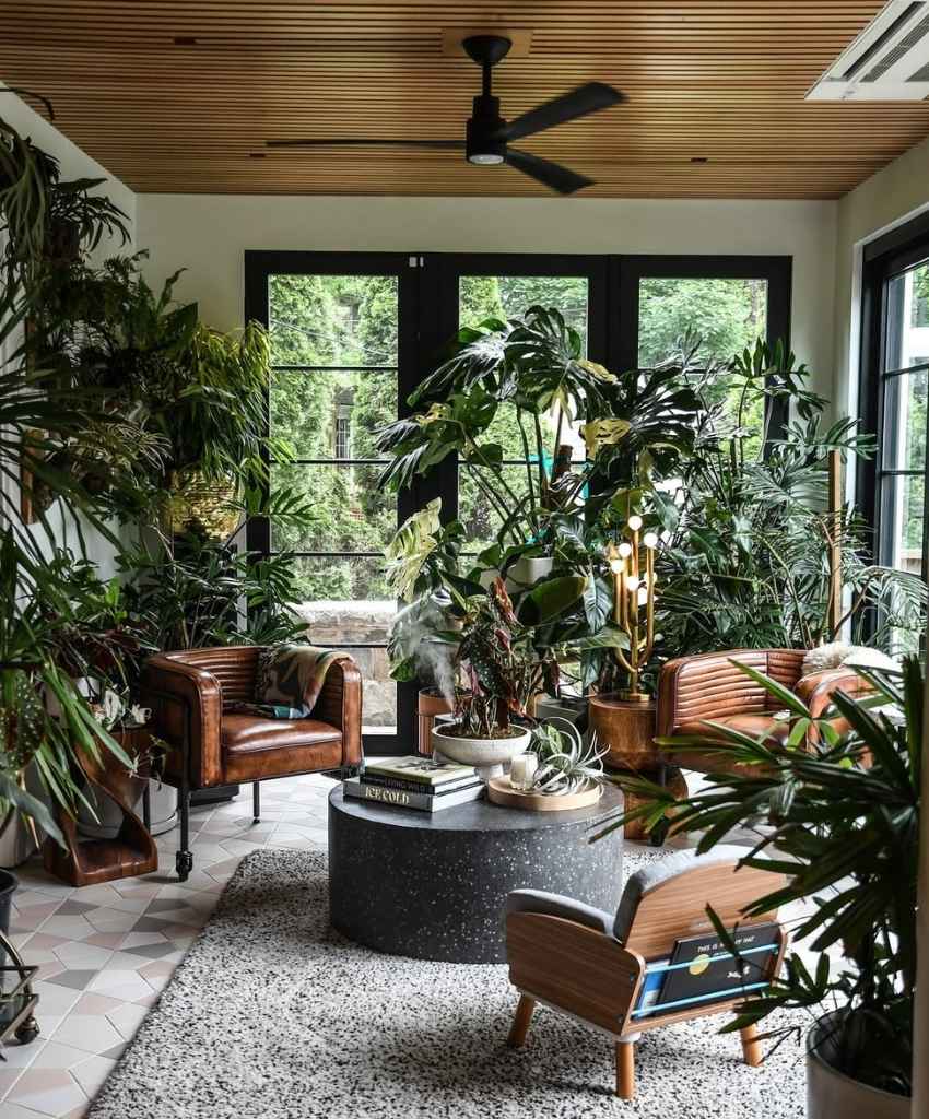Modern Jungle Lounge