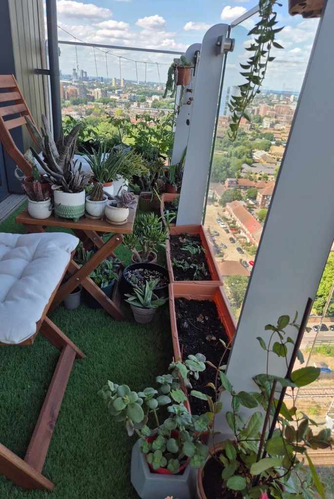 Skyline Balcony Garden