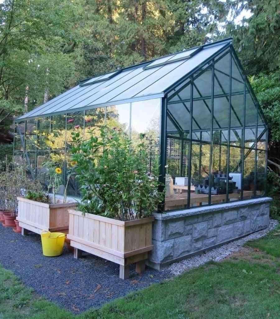 Forest-Edge Glass Greenhouse