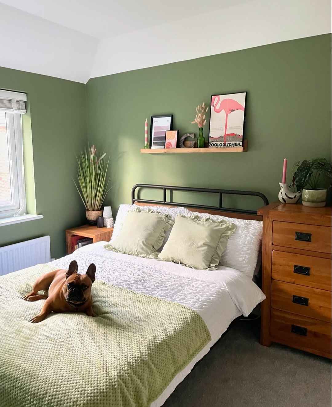 Playful Olive Green Bedroom with Pink Accents