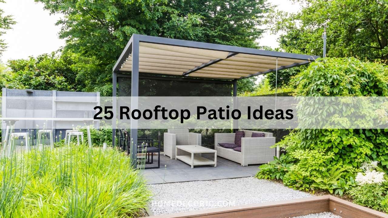 Rooftop Patio Designs