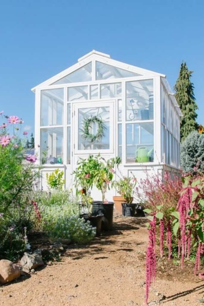 White Cottage Garden Greenhouse