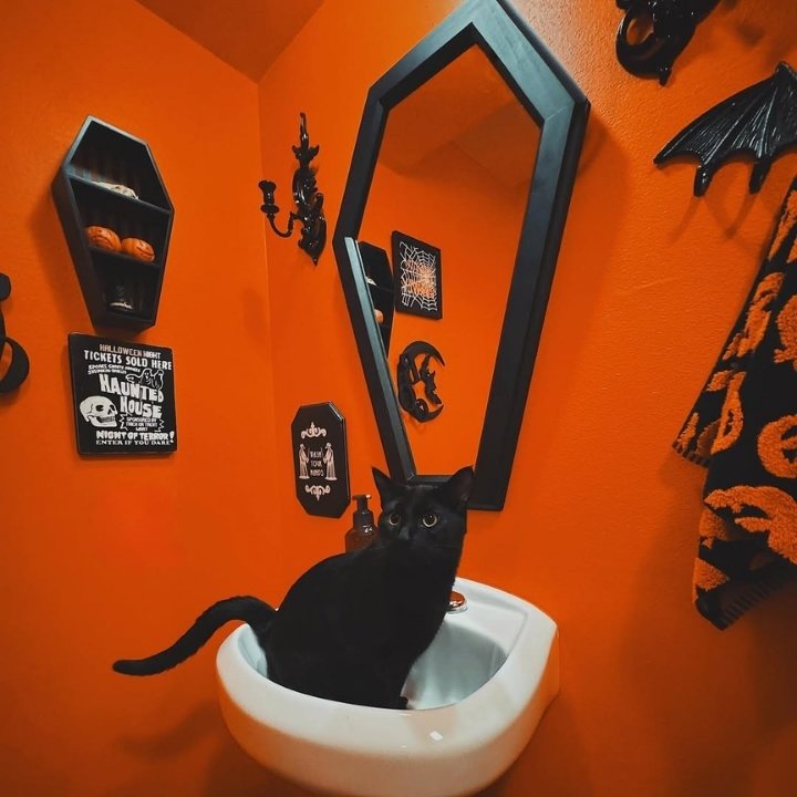 Black Cat Approved Halloween Sink Spot