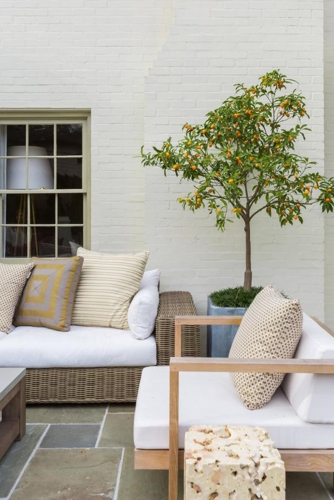 Citrus Patio Lounge