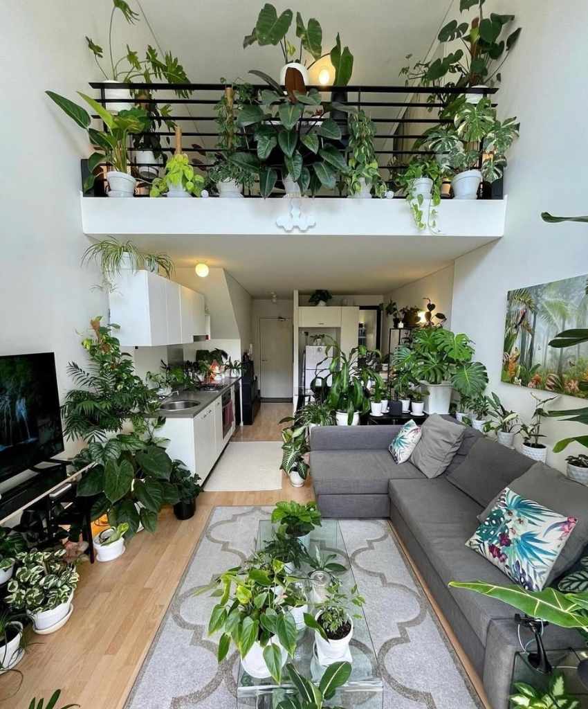 Double-Level Indoor Jungle Loft