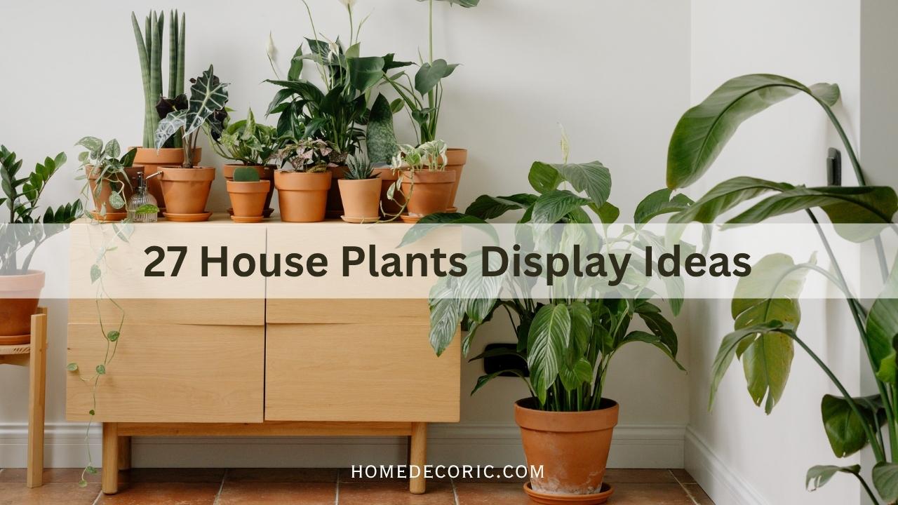 House Plants Display Ideas