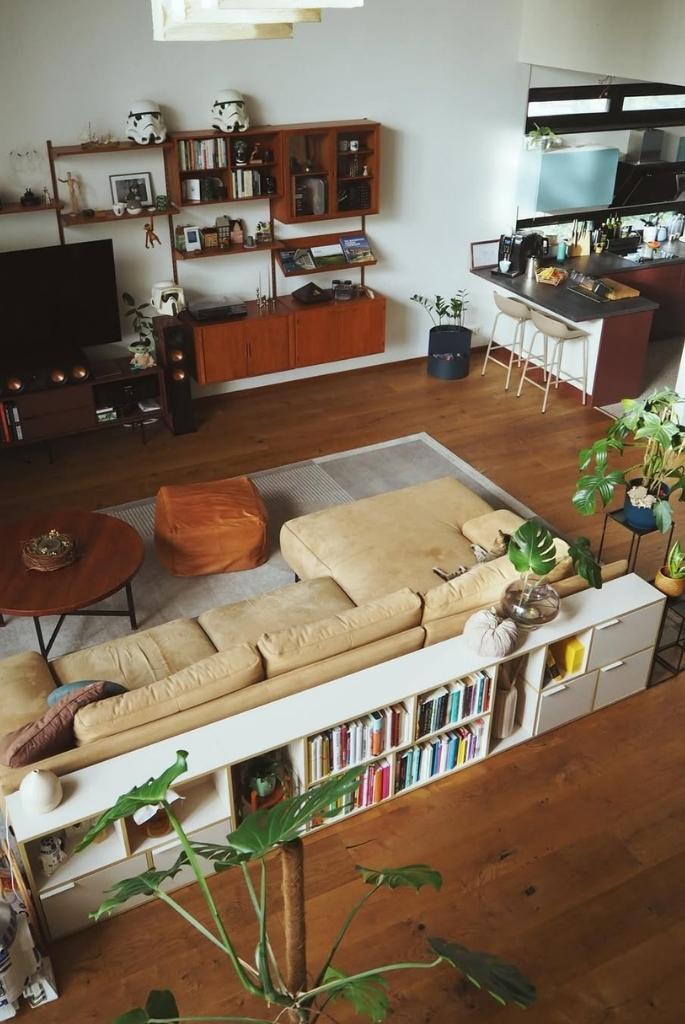 Open-Plan Lounge with Bookcase Divider