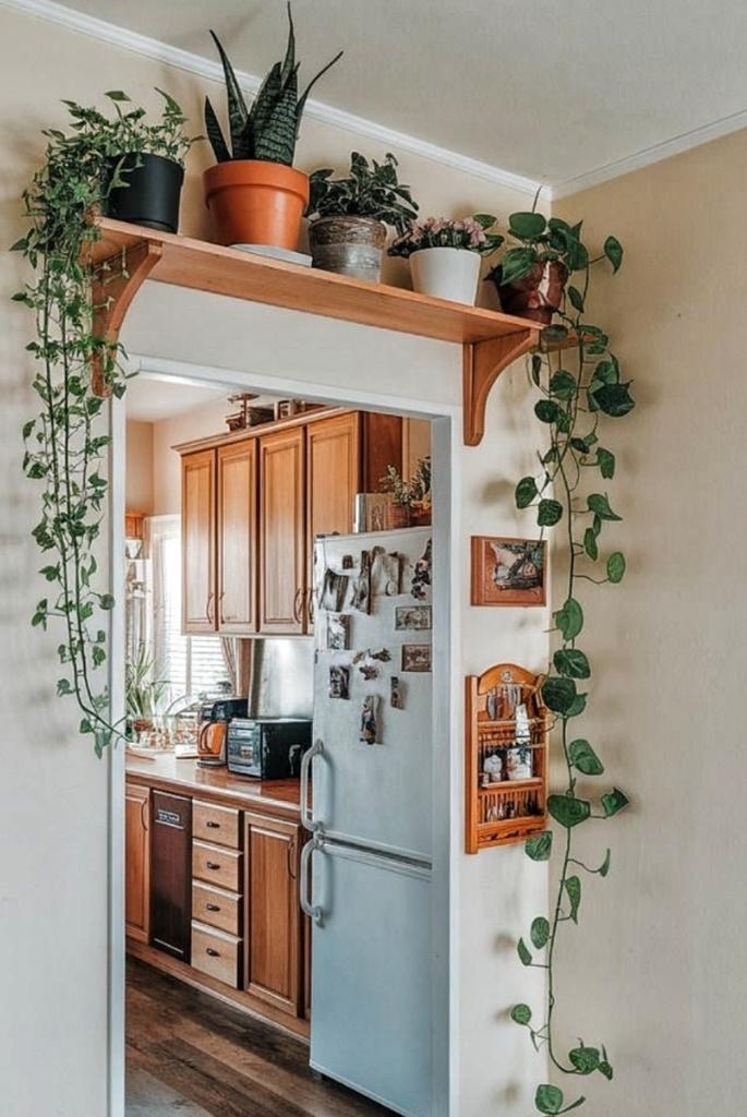Over-the-Doorway Plant Shelf Display
