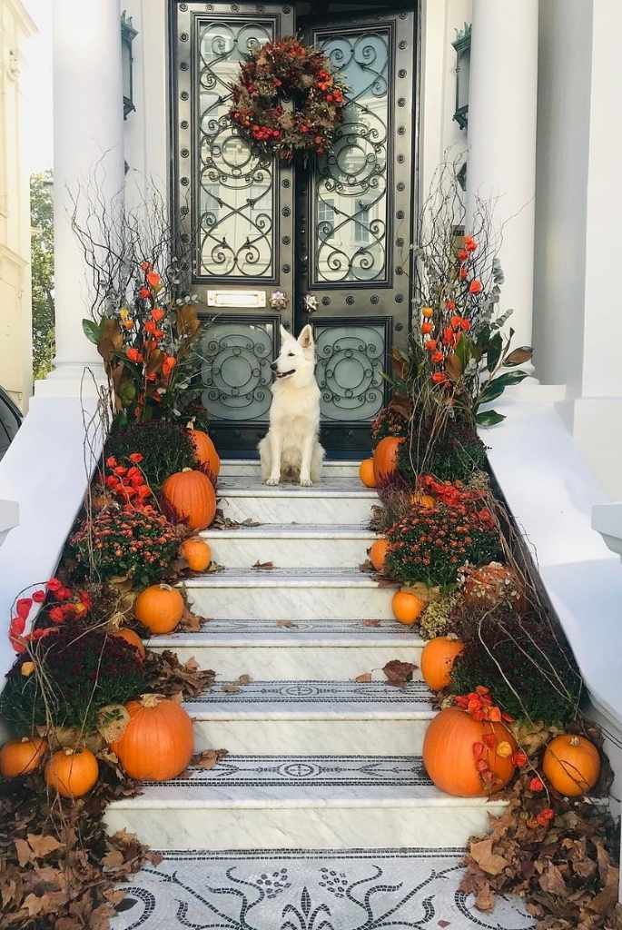 Regal Pumpkin Pathway