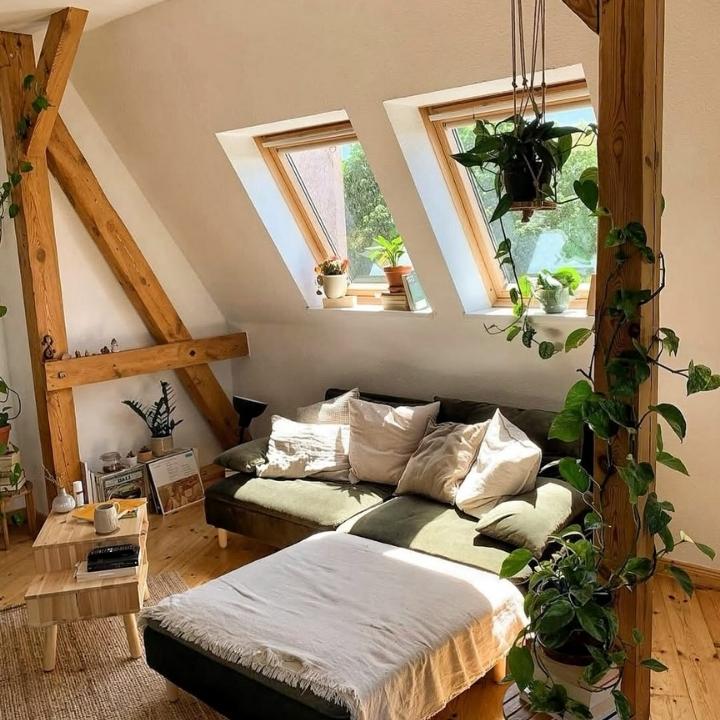 Sunlit Attic Green Lounge