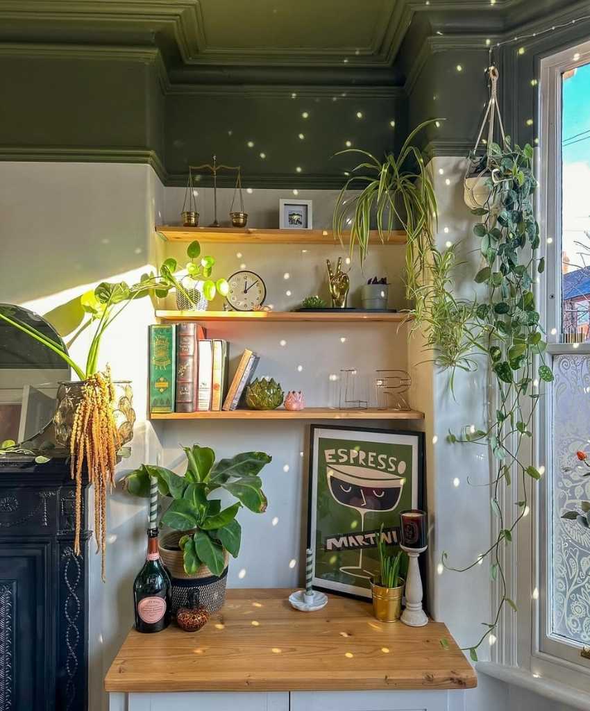 Sunlit Shelf Garden Nook
