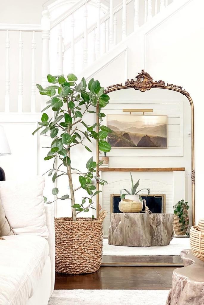 Vintage Ornate Mirror