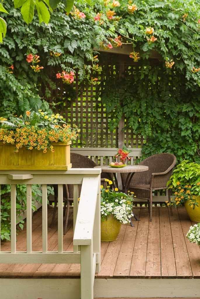 Wooden Deck Bistro Nook with Climbing Vines