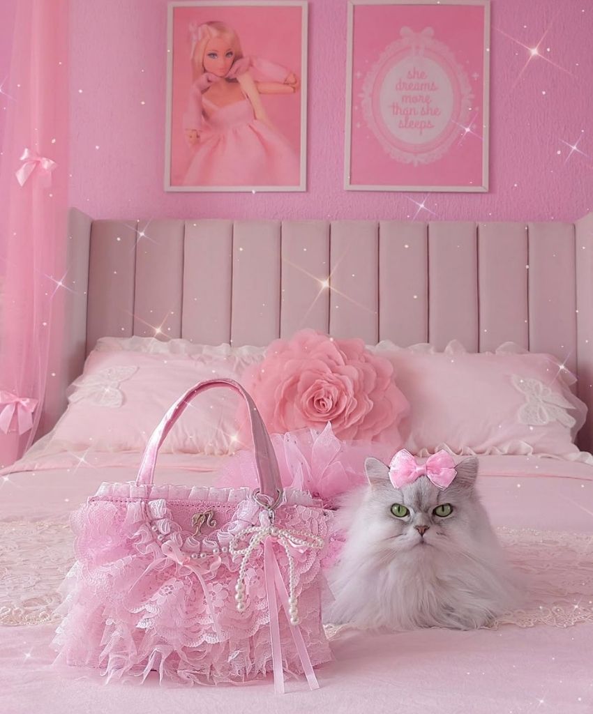 Pink Princess Bedroom