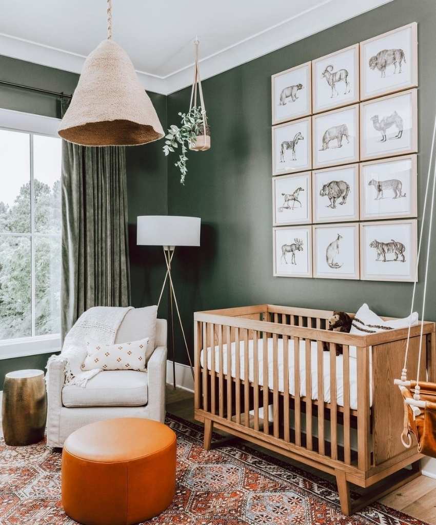 Safari Scholar Nursery