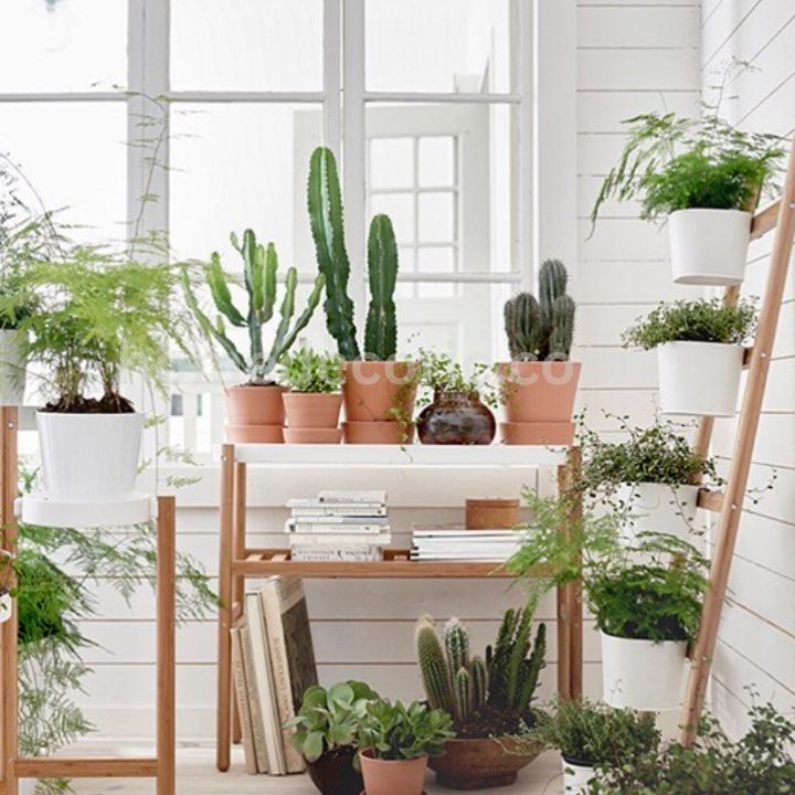 Add Greenery in ladder shelves