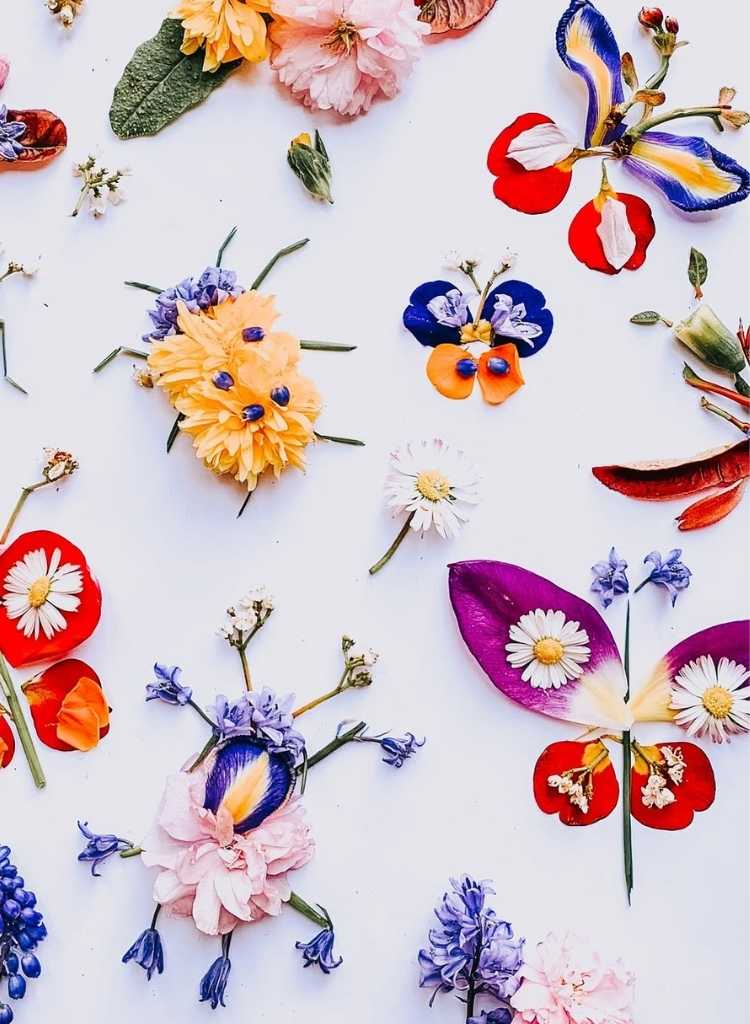 Pressed Flower Spring Art