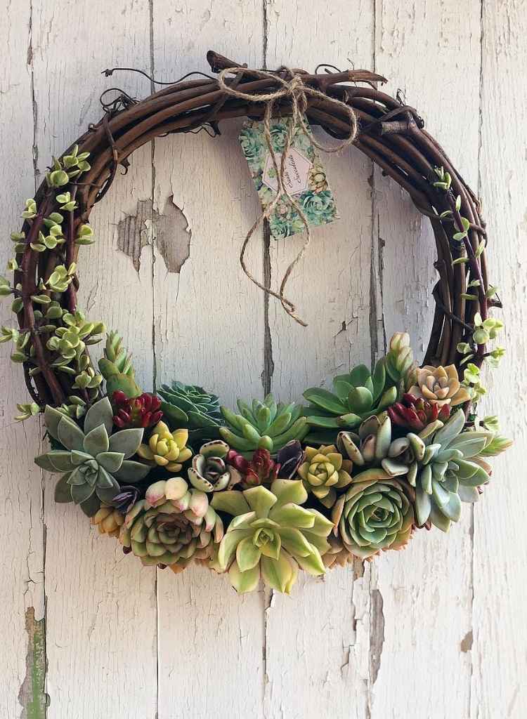 Modern Succulent Accent Wreath