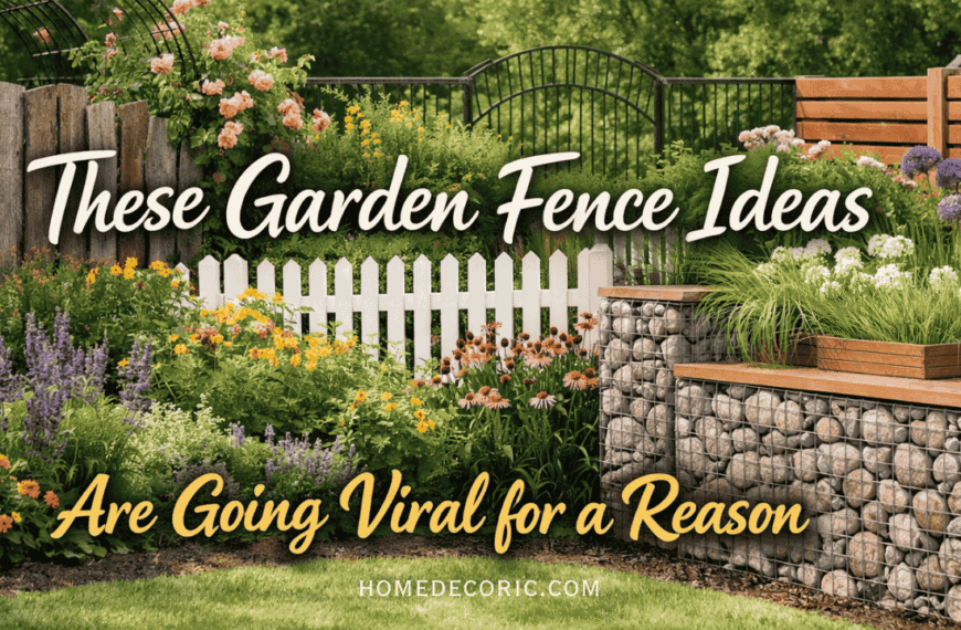 garden Fence ideas