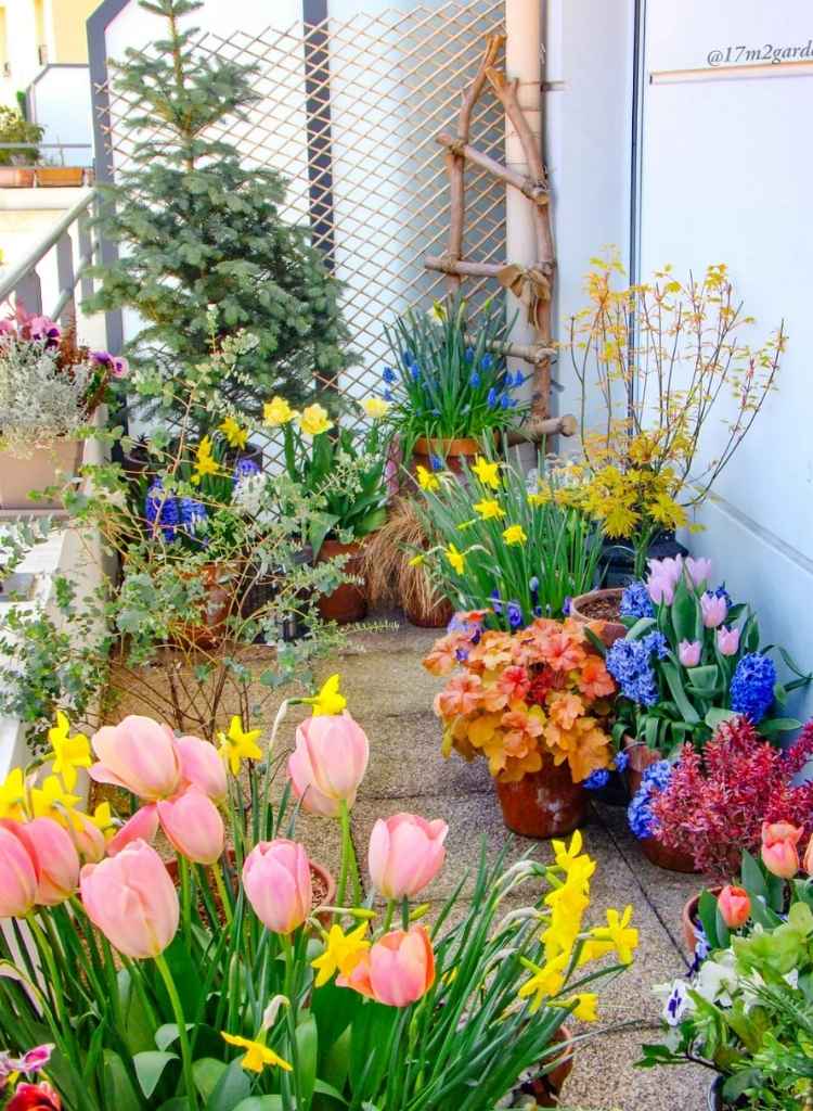 Colorful Container Garden for Small Corners