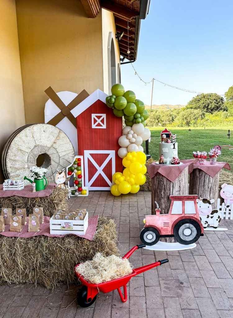 Farm Theme Kids Outdoor Birthday Party Setup