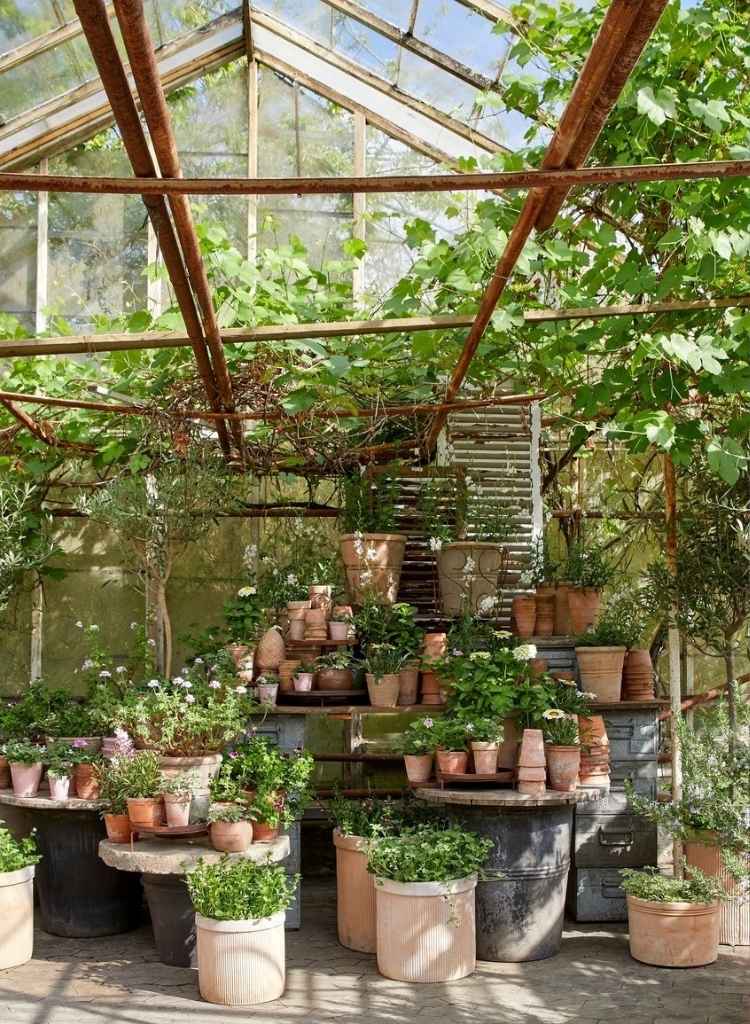 Greenhouse Corner Filled with Layered Pots