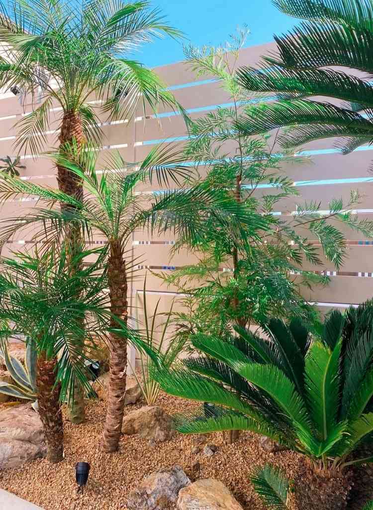 Patio Setup with Soft Garden Lighting