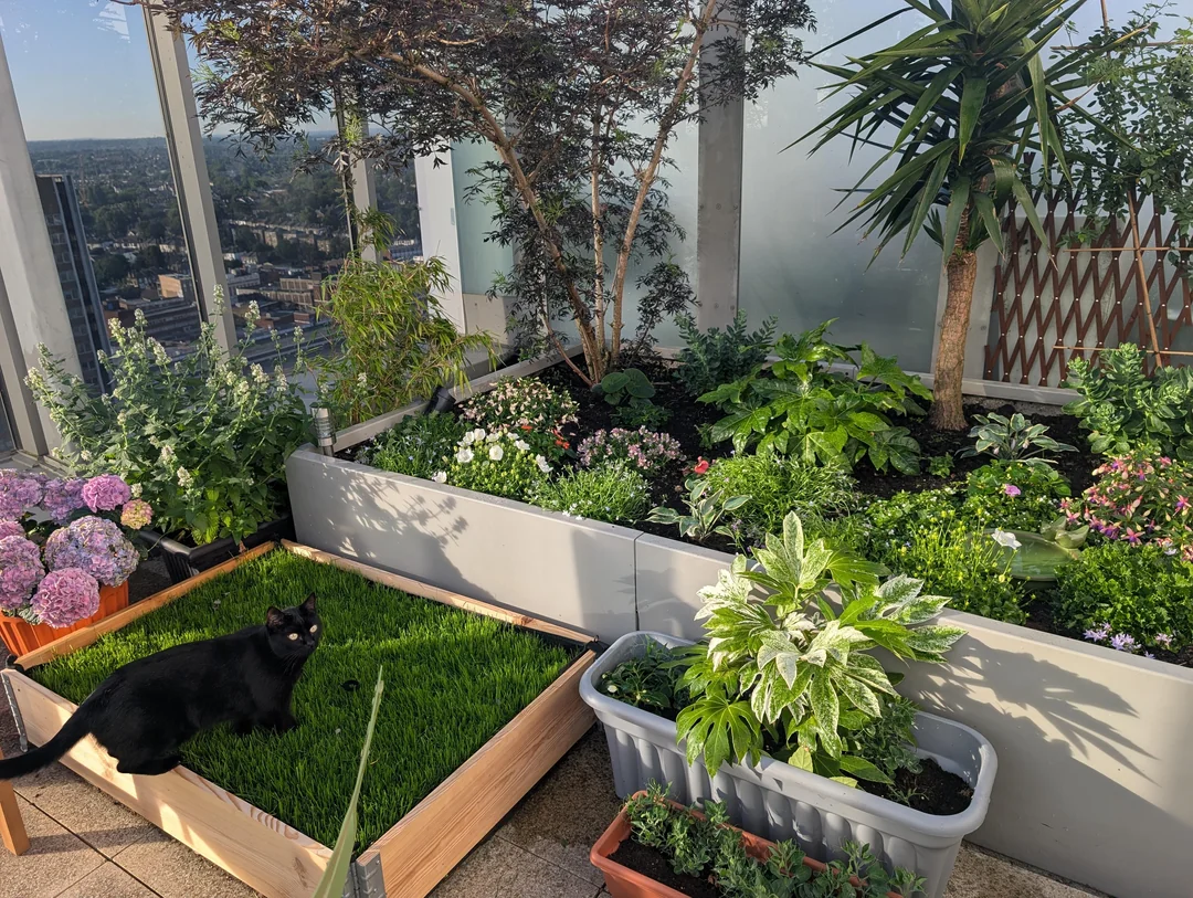 3-months-progress-on-my-25th-floor-roof-terrace