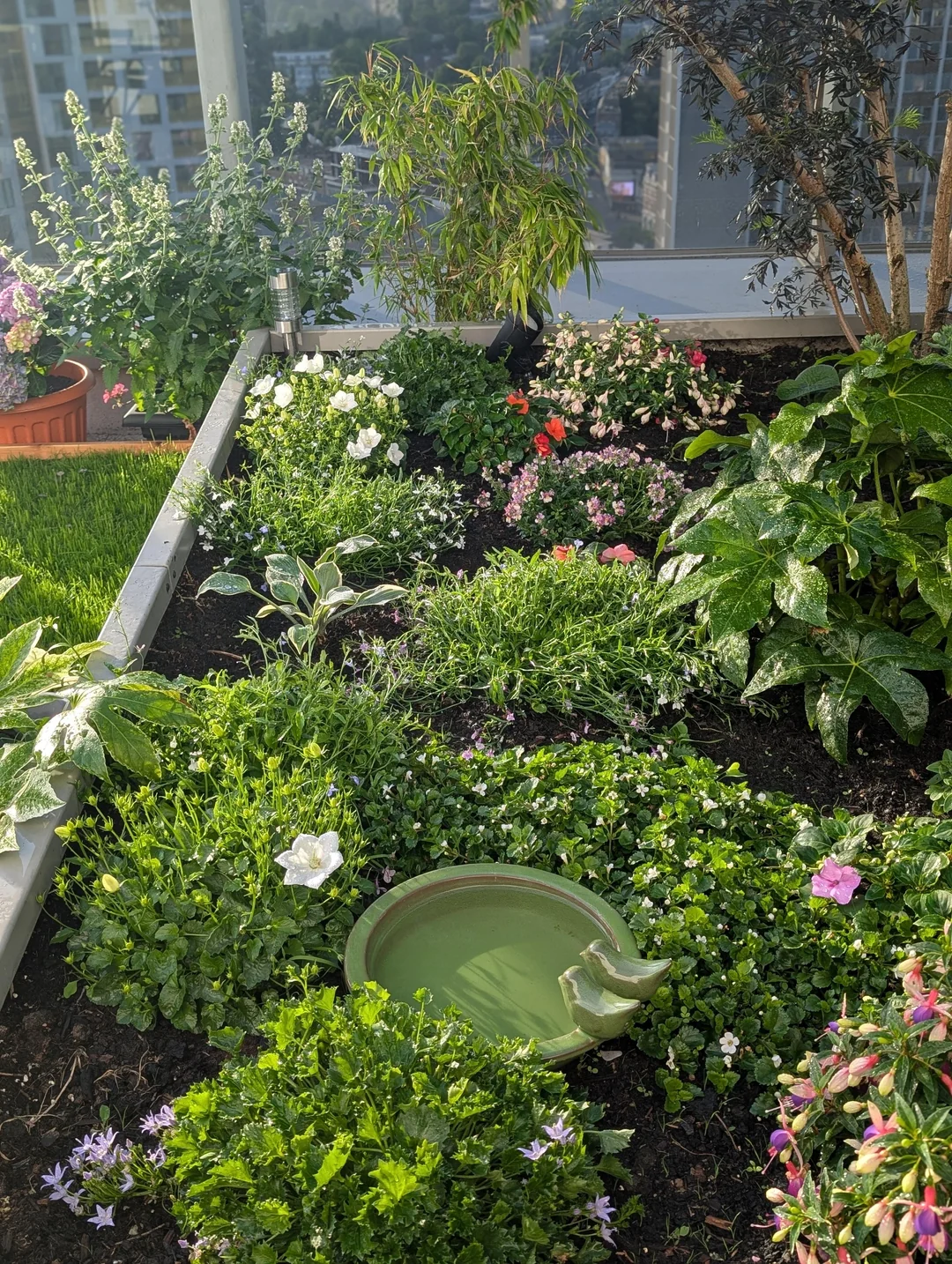 high-rise balcony garden