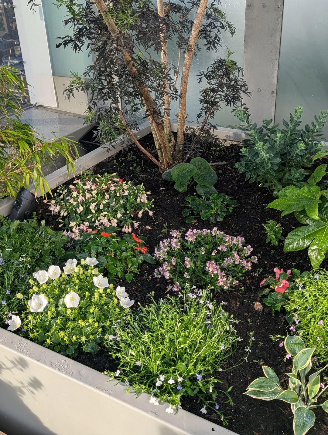 container garden on rooftop