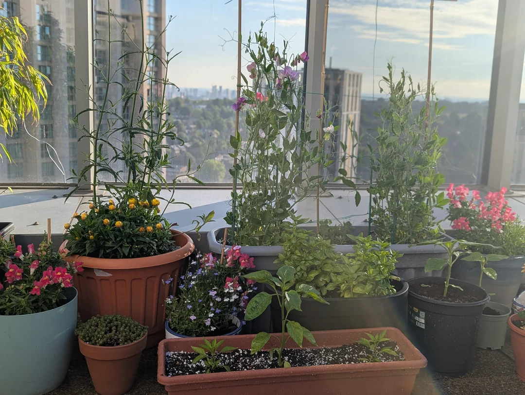 gardening on a high floor