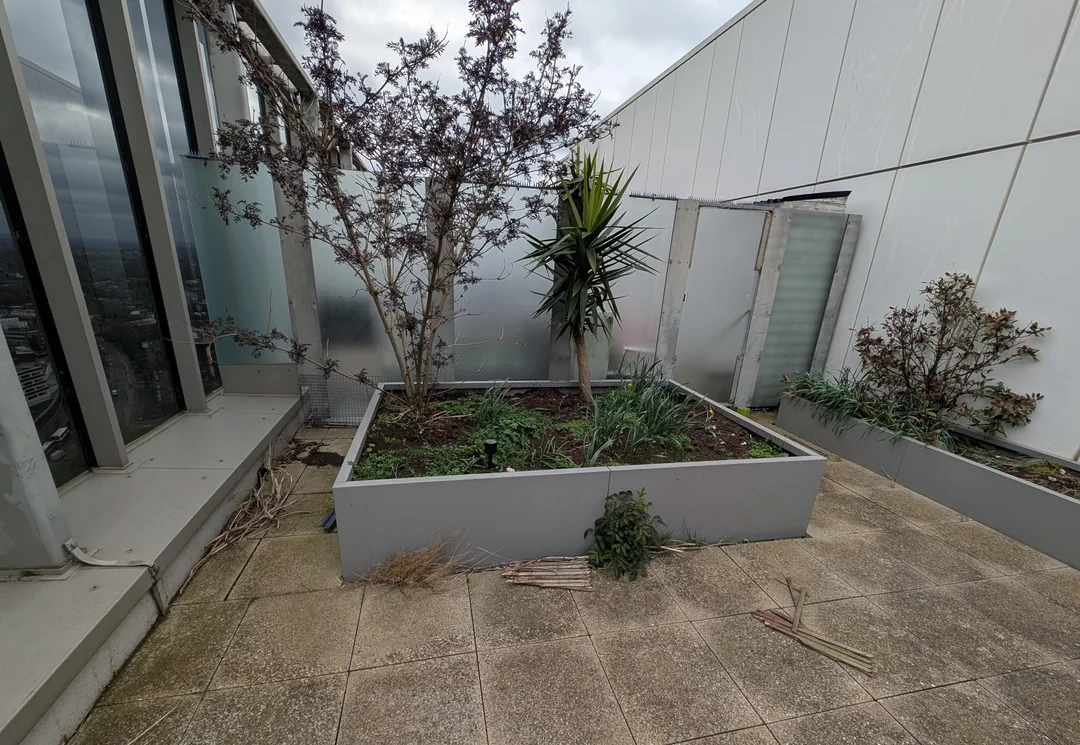 container plants for full sun and wind