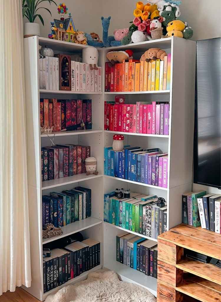 Bookshelf with Color-Coded Book Display